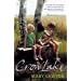 top twenty brilliant reads this year