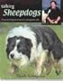 Talking Sheepdogs