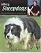   - Talking Sheepdogs