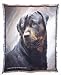 ROTTWEILER Portrait Afghan Throw Blanket #M Rottweilers