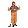 Wizard of Oz tm Cowardly Lion tm Adult Fancy Dress Costume