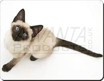 SIAMESE CAT with BLUE EYES Mouse Mat