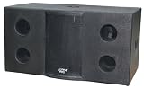 SOUND AROUND/PYLE INDUSTRIES PASC215 1000 Watt Dual 15'' Stage Subwoofer Cabinet