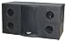 Electronics : SOUND AROUND/PYLE INDUSTRIES PASC215 1000 Watt Dual 15'' Stage Subwoofer Cabinet