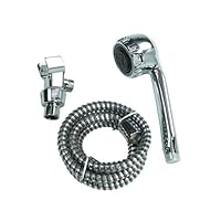 Danco 26959 Premium Hand-Held Shower Assembly, Chrome