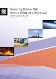 Drawing down N₂O to protect climate and the ozone layer