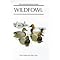 My Best Birding Books