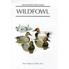 Wildfowl: An Identification Guide to the Ducks, Geese and Swans of the World (Helm Identification Guides)