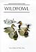 Wildfowl: An Identification Guide to the Ducks, Geese and Swans of the World (Helm Identification Guides)