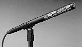 Audio-Technica AT4073a - Microphone