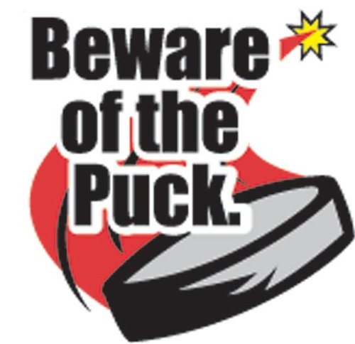 Childrens Toyshop  Sporting Goods : Beware of the Puck Funtoos Each Sheet