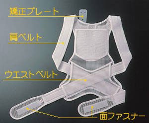 Cover image : 姿勢矯正ベルト(磁気付き)Mサイズ