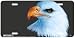 American Bald Eagle - Wildlife Decor Art Print - License Plate Tag By Alex Raccanelli From Airstrike Image