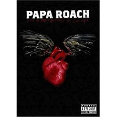 Papa Roach : Live & murderous in Chicago