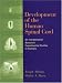 Book Development of the Human Spinal Cord: An Interpretation Based on Experimental Studies in Animals