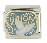 SilverBin Enamel Paint Shalom with Dove Stainless Steel Italian Charm Link