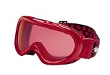 Bolle Boost Ski/Snowboard Goggles