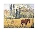 Criollo de los Andes - Chloe Henderson Art Print Poster - 20 x 16.75