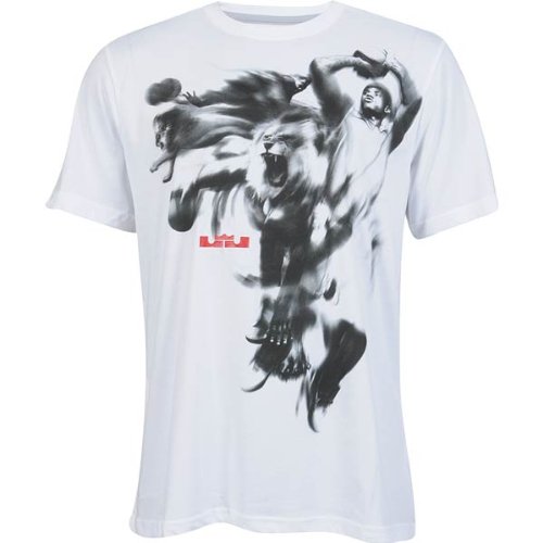 NIKE Herren T-Shirt Lebron 3D (HERO), sport red/black, M, 439549 Preisvergleich