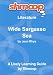 Wide Sargasso Sea: Shmoop Literature Guide
