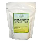 41S7OJpCgML. SL160  Pure Diatomaceous Earth 1 lb