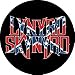Lynyrd Skynyrd Flag Logo Mini Magnet BM-0138