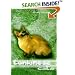 Tonkinese Cats