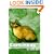 Tonkinese Cats