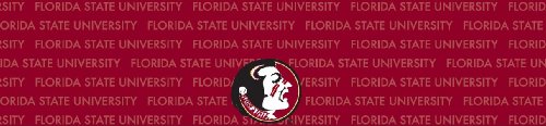 Florida State Seminoles Team Auto Visor Decal