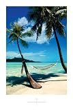 Island Hammock, Tropical Shorelines Wall Poster Print, 24x36