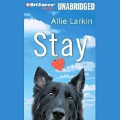 Stay: A Novel | [Allie Larkin]