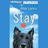 Stay: A Novel