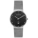 Skagen Men's Mesh Bracelet Watch #355LSSM