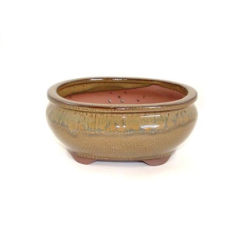 15cm Oval Glazed Bonsai Pot - Olive