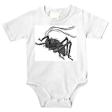 Onesie with mormon, insect, bug, grey, cricket