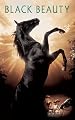 play video on Amazon Instant Video