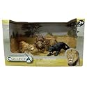 Coffret animaux sauvages - Léopard, panthère noire et lion
