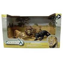 Coffret animaux sauvages - L&eacute;opard, panth&egrave;re noire et lion