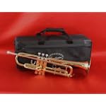 SAVE $130 - Conductor Model 200 Bb Trumpet w/ Case, Mouthpiece and 1 Year Warranty - ON SALE - SAVE OVER $150 $119.99
