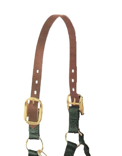 Breakaway Halter Replacement Leather Crown