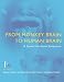 Book From Monkey Brain to Human Brain: A Fyssen Foundation  Symposium (Bradford Books)