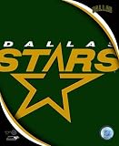 Dallas Stars 2011 Team Logo Poster (8.00 x 10.00)