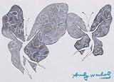 Butterfly Ladies by Andy Warhol, 4x2