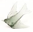 Lukeke Bird