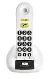 Review Doro 315 PHONEEASY DECT / Doro Big Button DECT - White