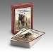 Brown Bear Playing Cards