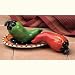 VT SOUTHWEST CHILI PEPPER SALT AND PEPPER SET