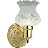 Progress Lighting P3830-10 Single-Light Wall Bracket with Etched Glass Shade On-Off Switch Included, Polished Brass