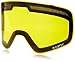 Dragon Alliance NFX Ski Goggles