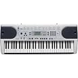 Casio LK-45 Lighted Keyboard with 61 Full-Size Keys and Musical Information System